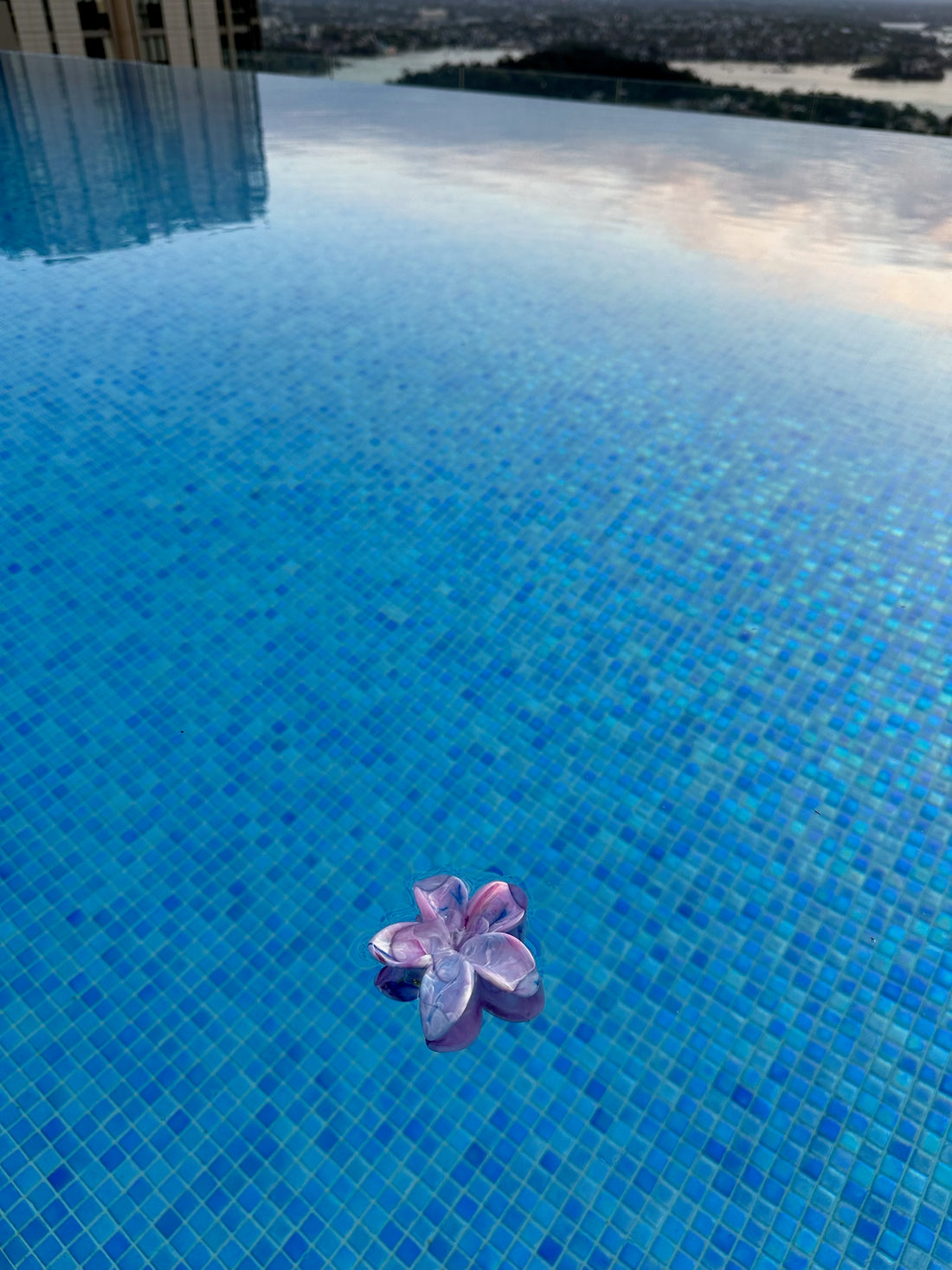 Cute Floral Hair Claws